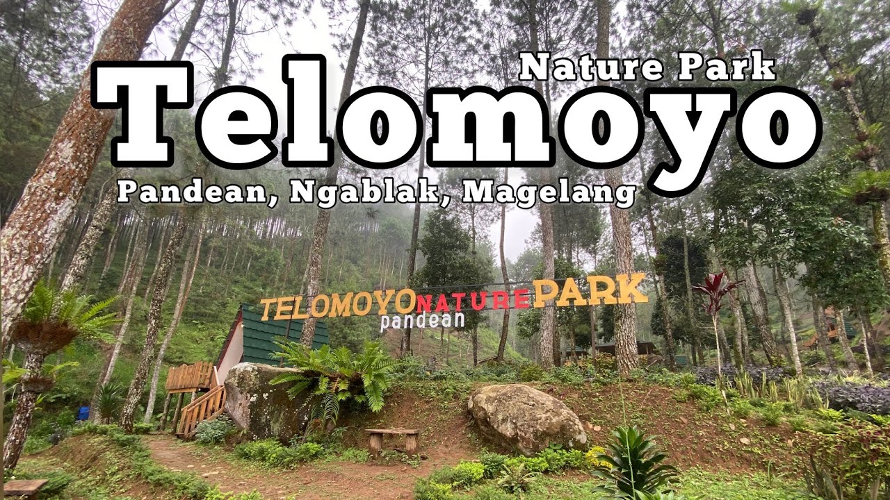 Telomoyo Nature Park: Destinasi Menikmati Keindahan Alam dan Petualangan